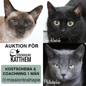 Kattauktion1mån