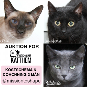 Kattauktion2mån