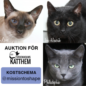 Kattauktionkostschema