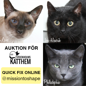Kattauktionquickfix